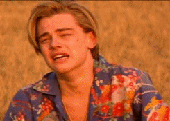 giphy.gif.24c2ada807c083fbe62e6bea77be8f65.gif