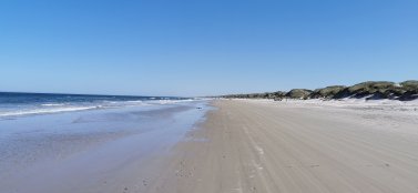 IMG_20210830_113227.jpg