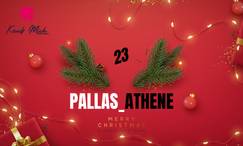 kaufmich-escort-adventskalender-pallas_athene-interview