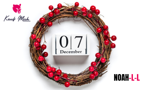 kaufmich-escort-adventskalender-2024-noah-l-l-interview